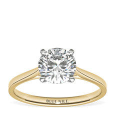 Petite Cathedral Solitaire Engagement Ring in 14k Yellow Gold